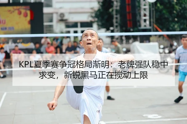 KPL夏季赛争冠格局渐明：老牌强队稳中求变，新锐黑马正在搅动上限